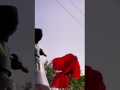 POPALM Panda Garden Gloves